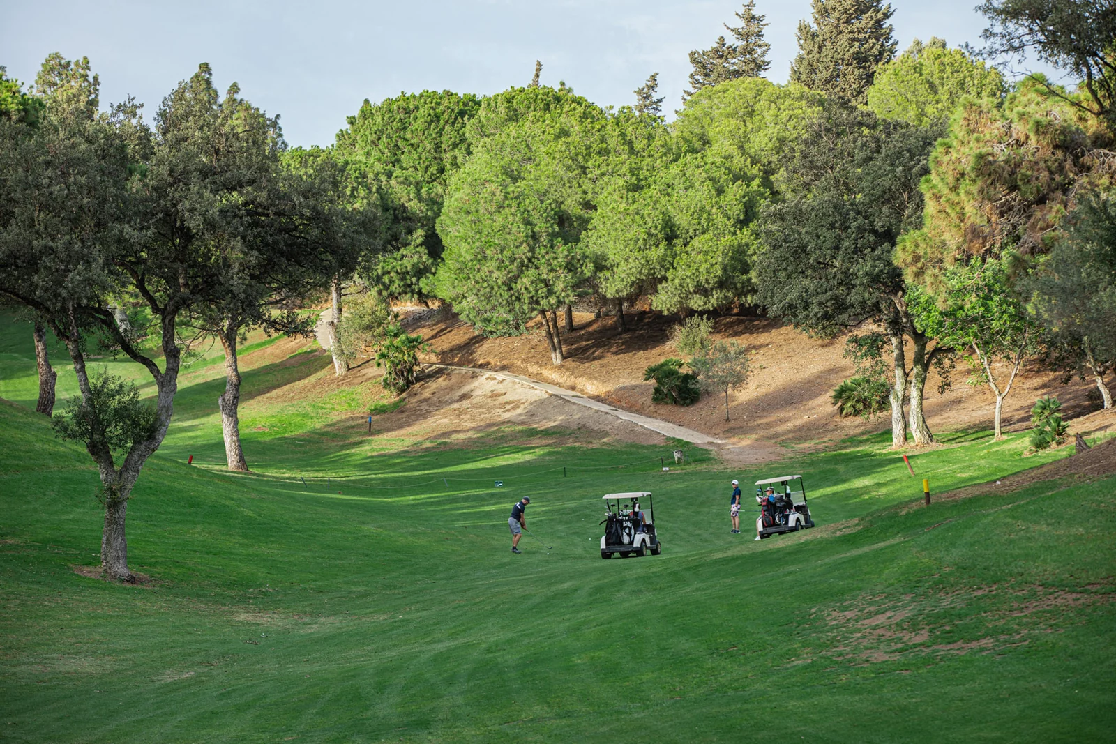 Golfmiljö vid Chaparral
