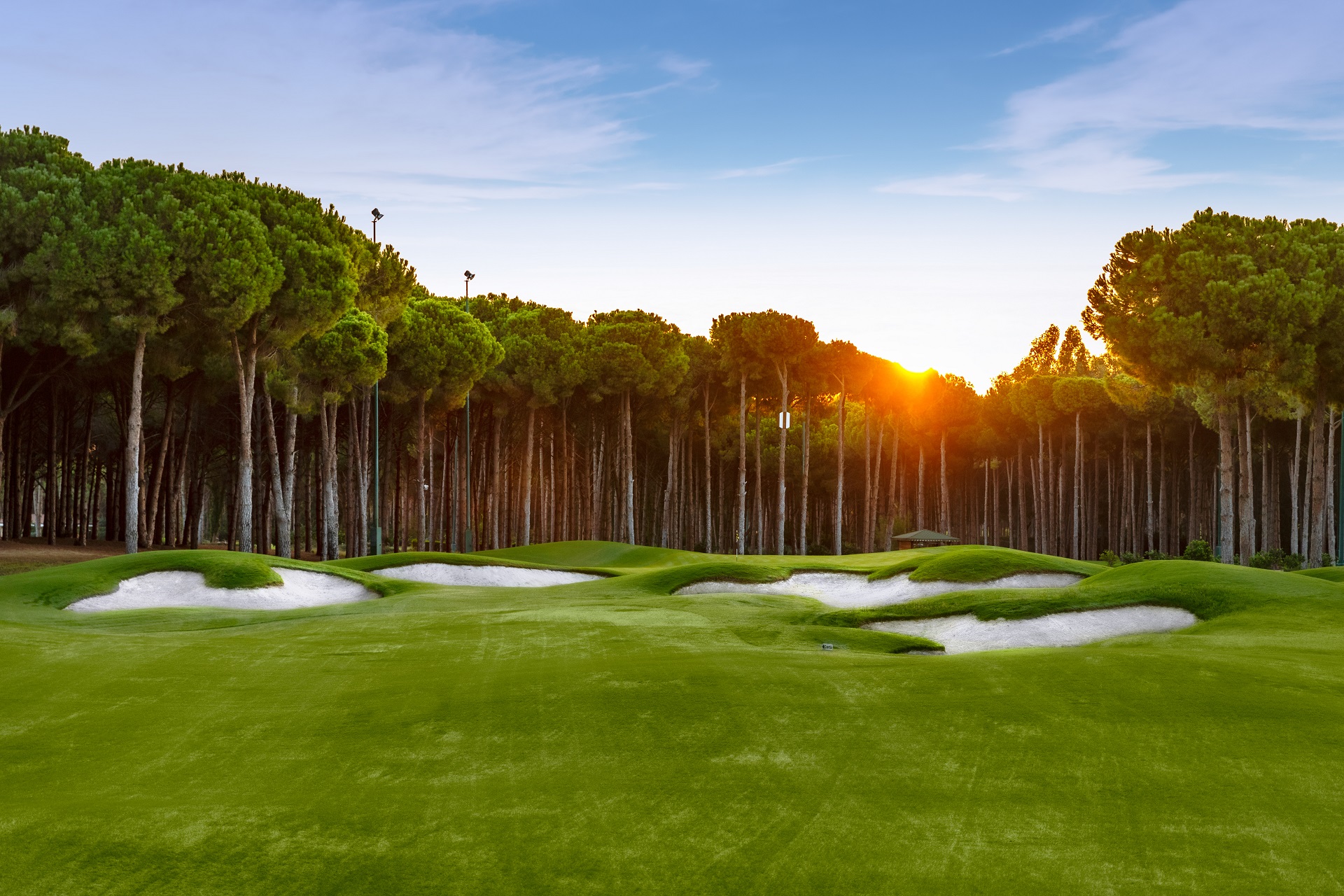 Green och bunkrar bland pinjeträd i kvällsljus på Carya i Belek
