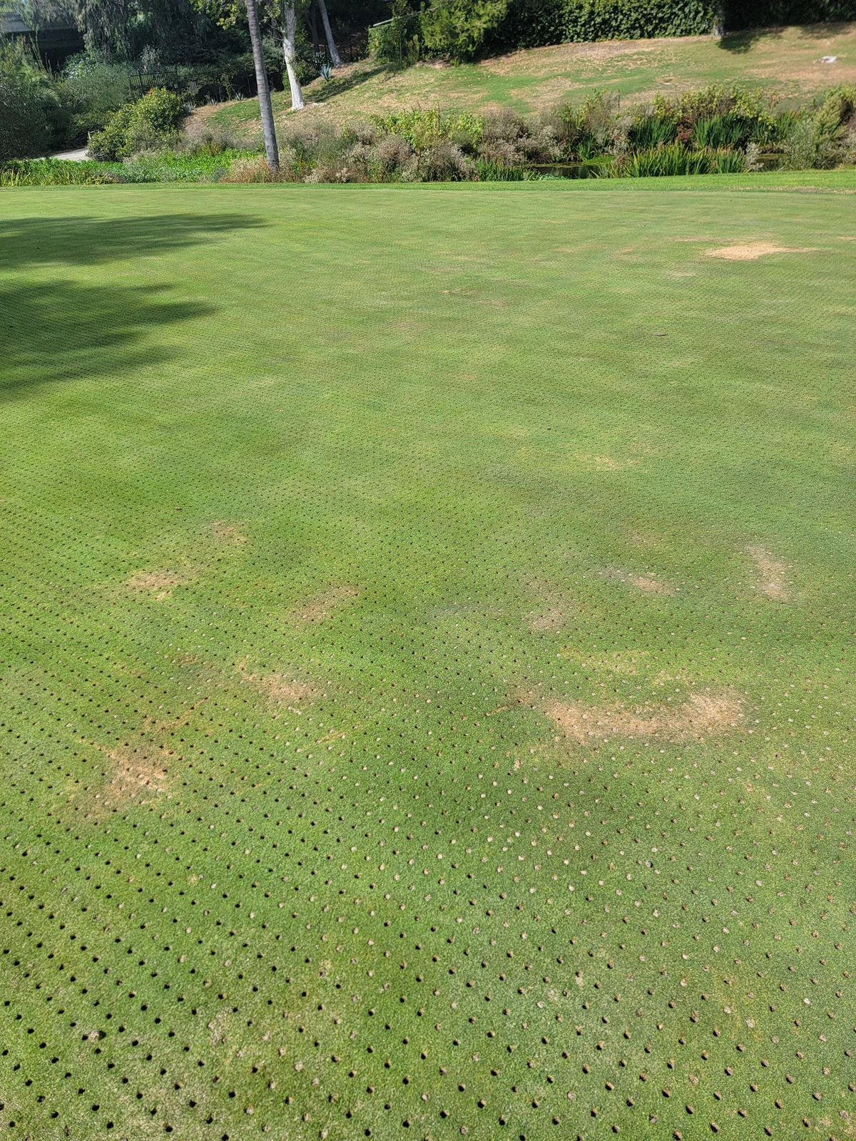 Hål efter luftning av en golfgreen, som exempel på banunderhåll